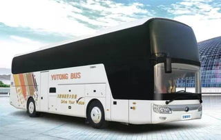 周末熱浪島四季恒溫水世界一日游，舊機動車煥發新活力